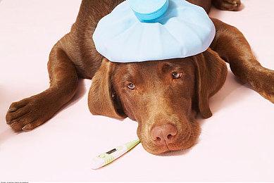 《戴森球计划》载具系统开发画面公布 上线时间待定